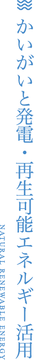 かいがいと発電・再生可能エネルギー活用 NATURAL RENEWABLE ENERGY