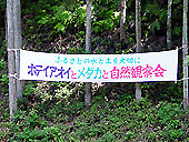 PhotoF{̃e[}łI
